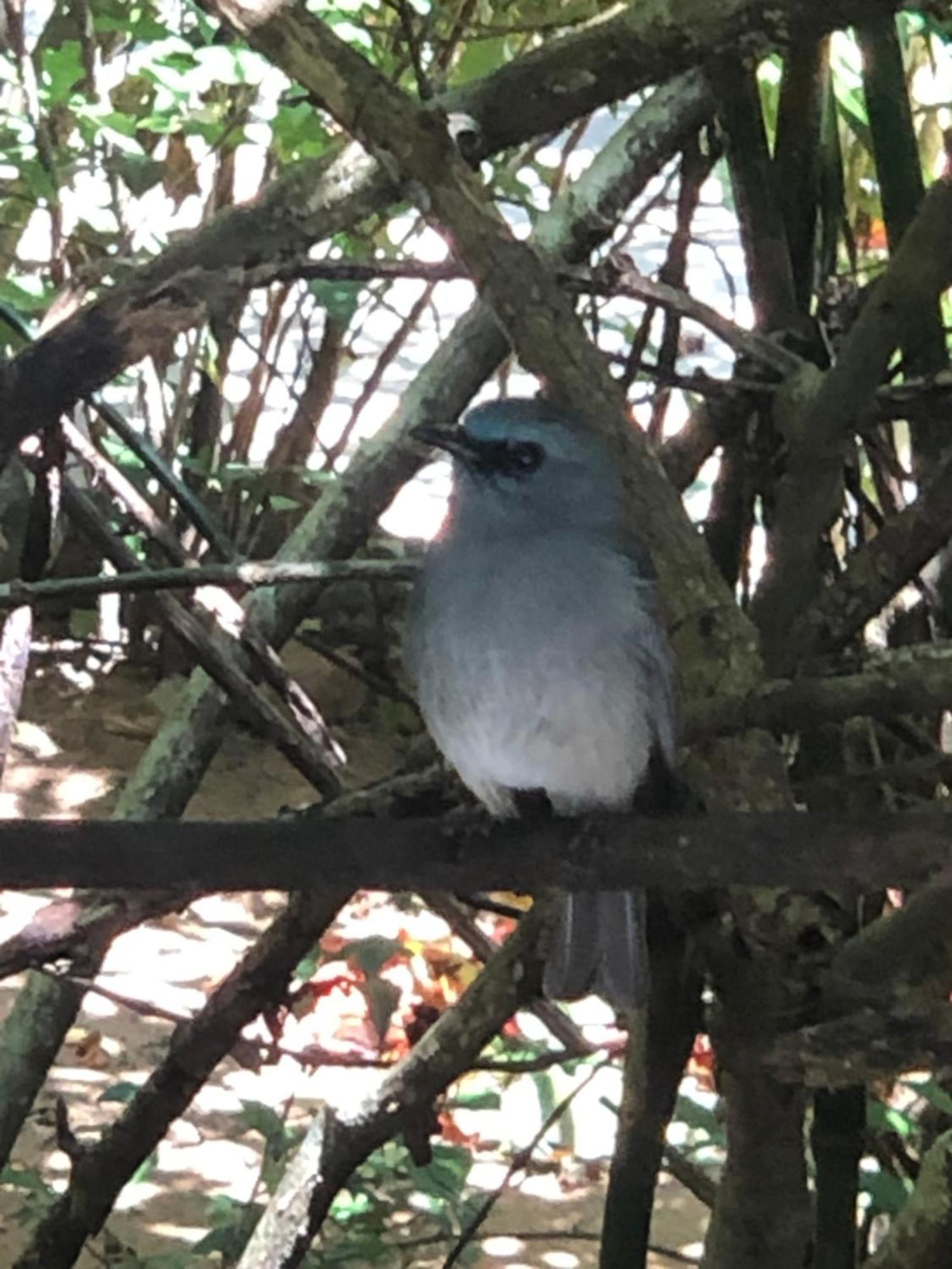Surrey Bird Sanctuary & Holiday Resort Welimada Екстер'єр фото