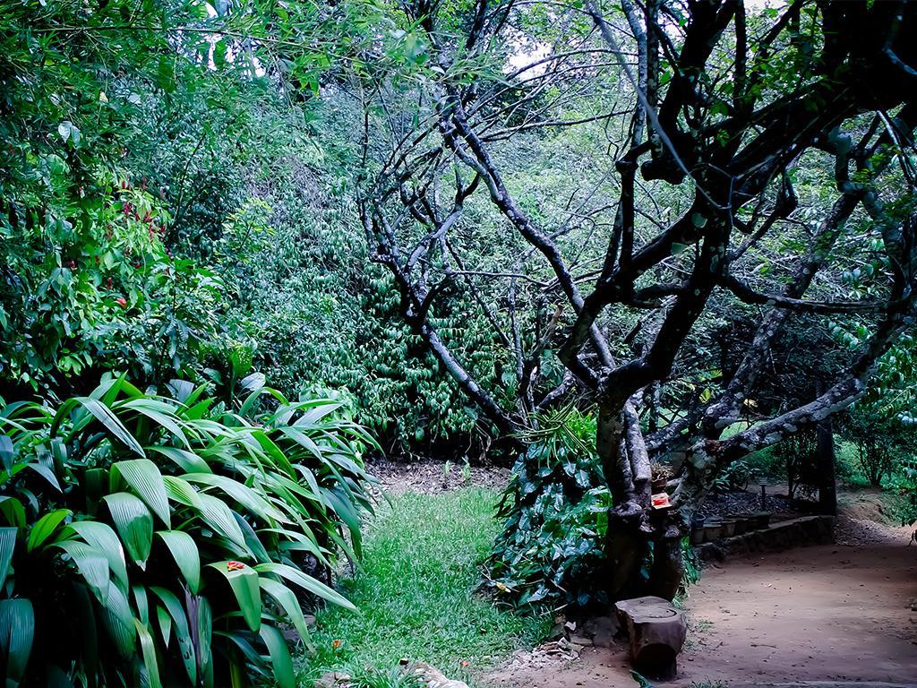 Surrey Bird Sanctuary & Holiday Resort Welimada Екстер'єр фото